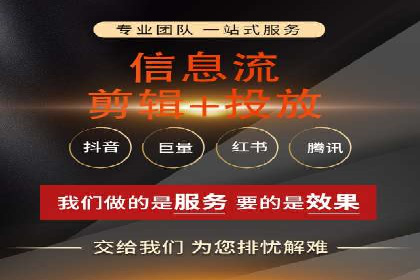 SEM推广技巧：成功案例深度剖析